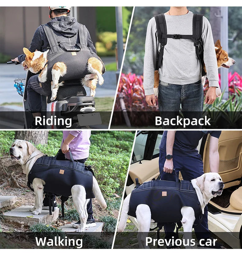 Versatile Pet Carrier Backpack – Comfortable for Medium & Large Dogs