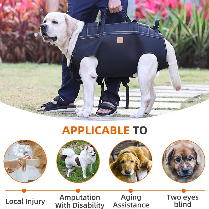 Versatile Pet Carrier Backpack – Comfortable for Medium & Large Dogs