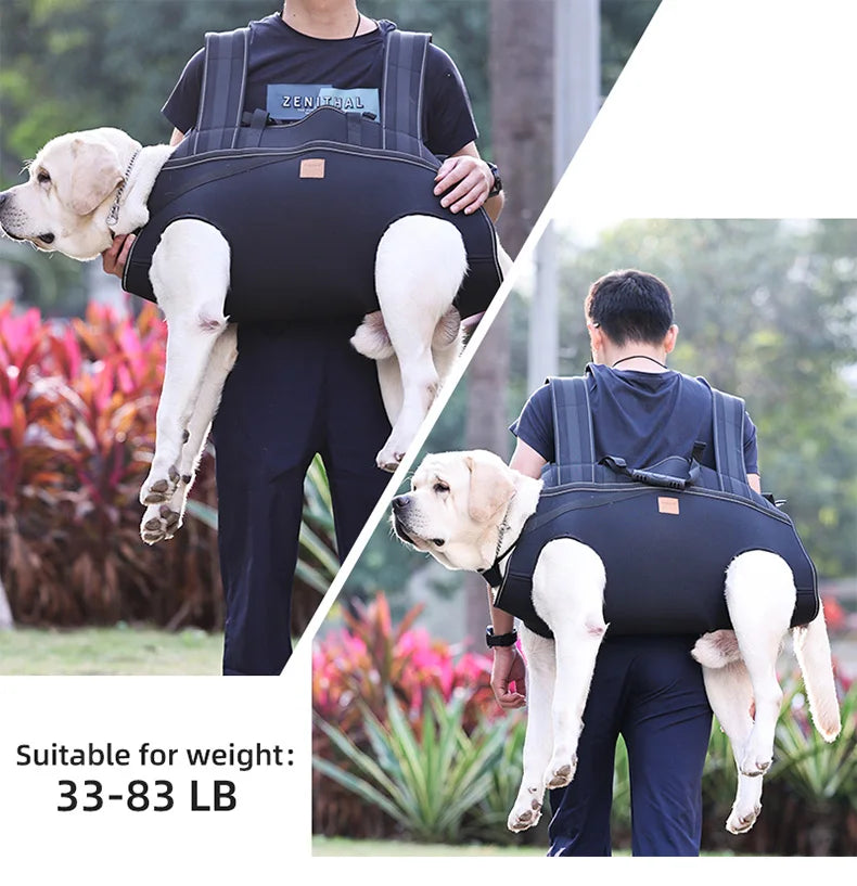 Versatile Pet Carrier Backpack – Comfortable for Medium & Large Dogs