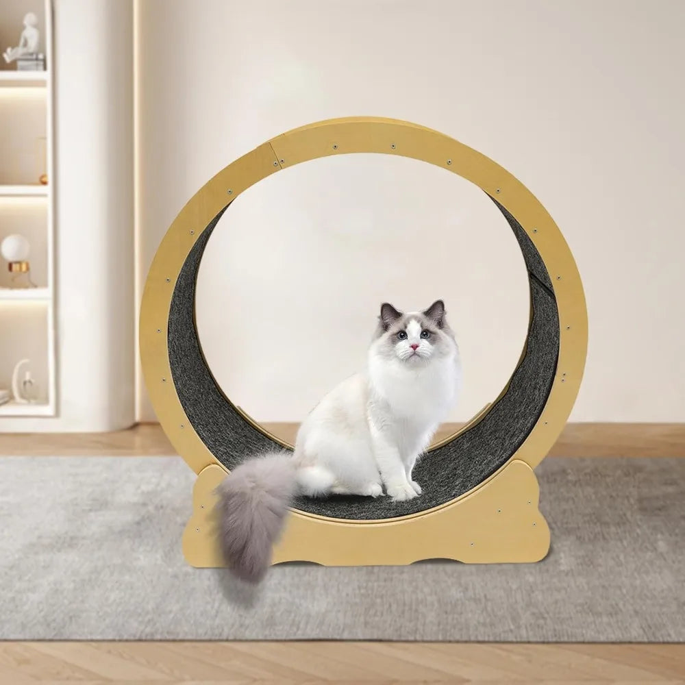 Large Indoor Cat Exercise Wheel – 35.4” Running Treadmill