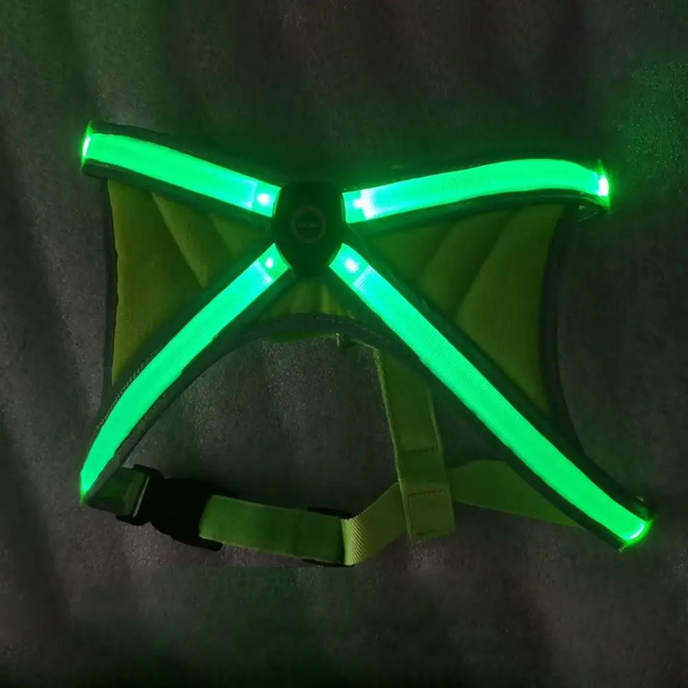 LED Light Dog Vest Harness – Adjustable & Breathable