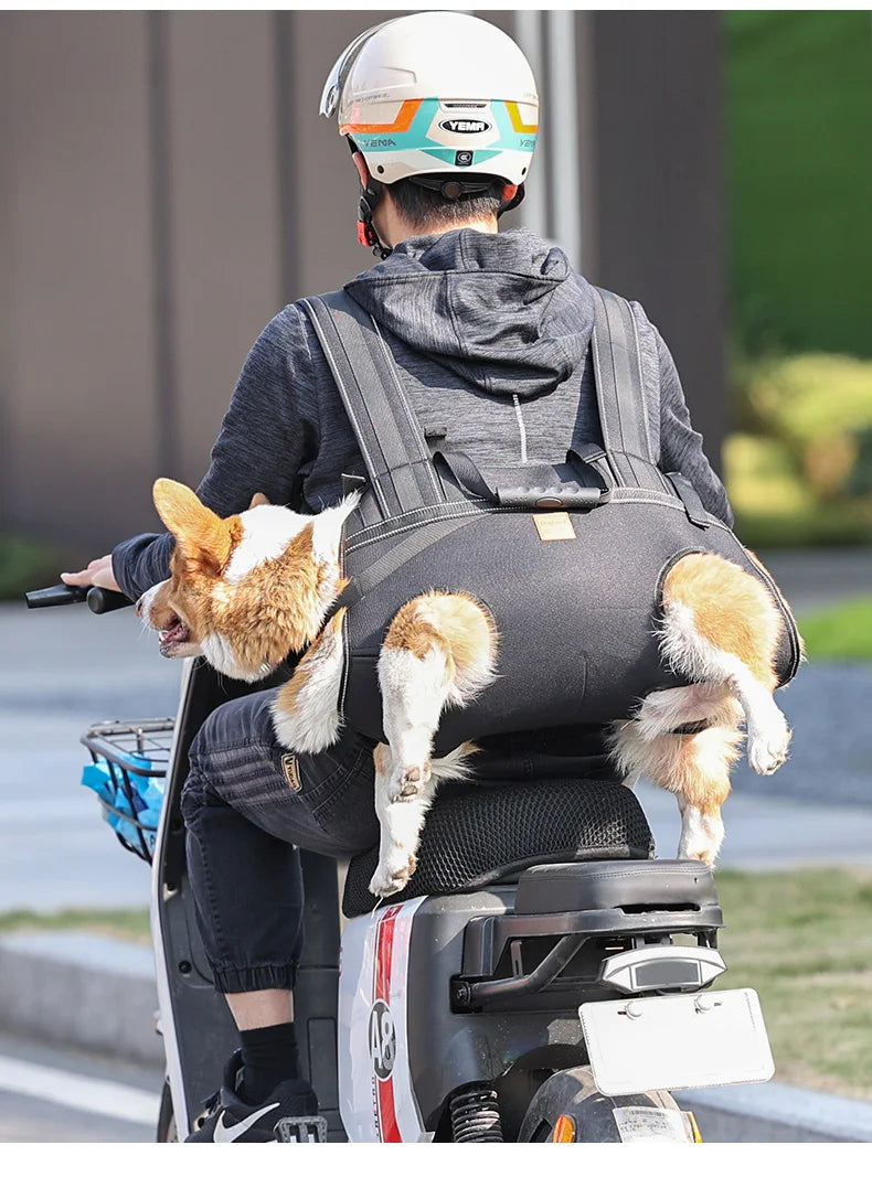 Versatile Pet Carrier Backpack – Comfortable for Medium & Large Dogs