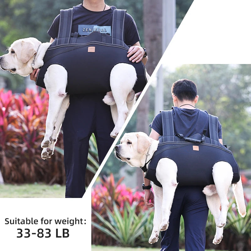 Versatile Pet Carrier Backpack – Comfortable for Medium & Large Dogs