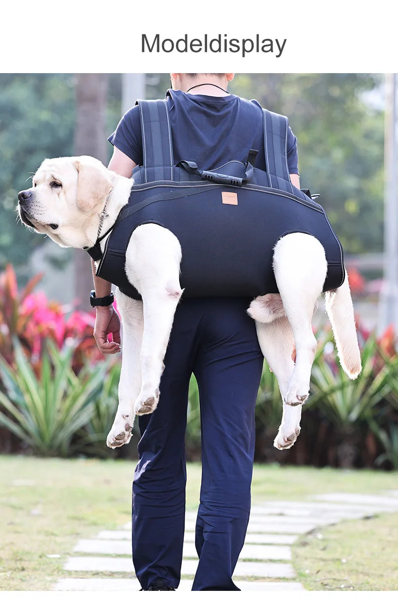 Versatile Pet Carrier Backpack – Comfortable for Medium & Large Dogs