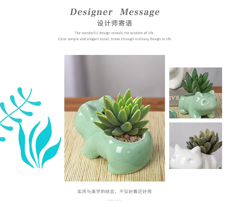 Creative Mini Flowerpot – Perfect for Indoor & Outdoor