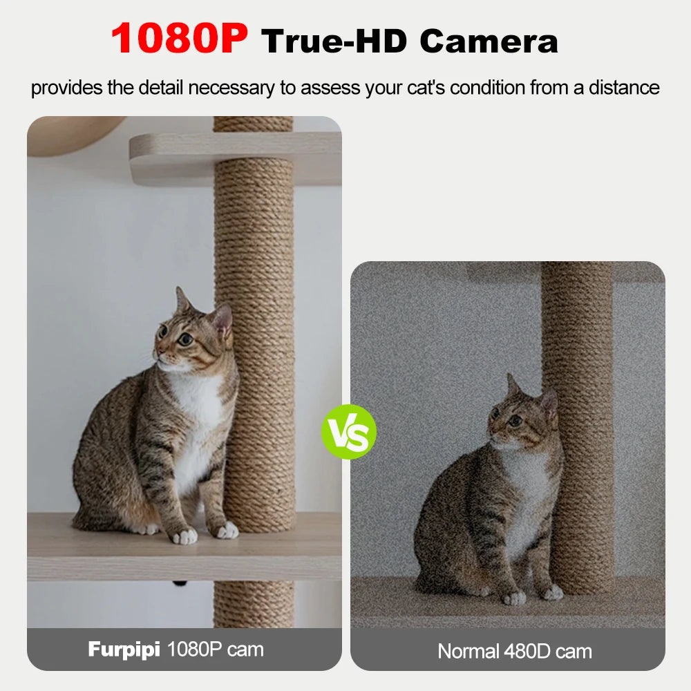 Automatic Cat & Dog Feeder – 8L with HD Camera & Tuya App