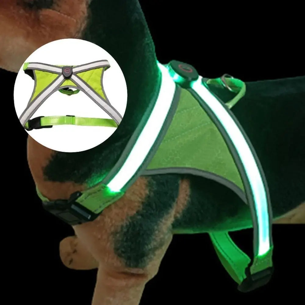 LED Light Dog Vest Harness – Adjustable & Breathable
