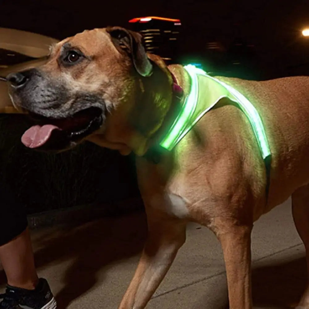 LED Light Dog Vest Harness – Adjustable & Breathable