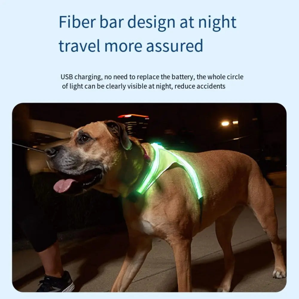 LED Light Dog Vest Harness – Adjustable & Breathable