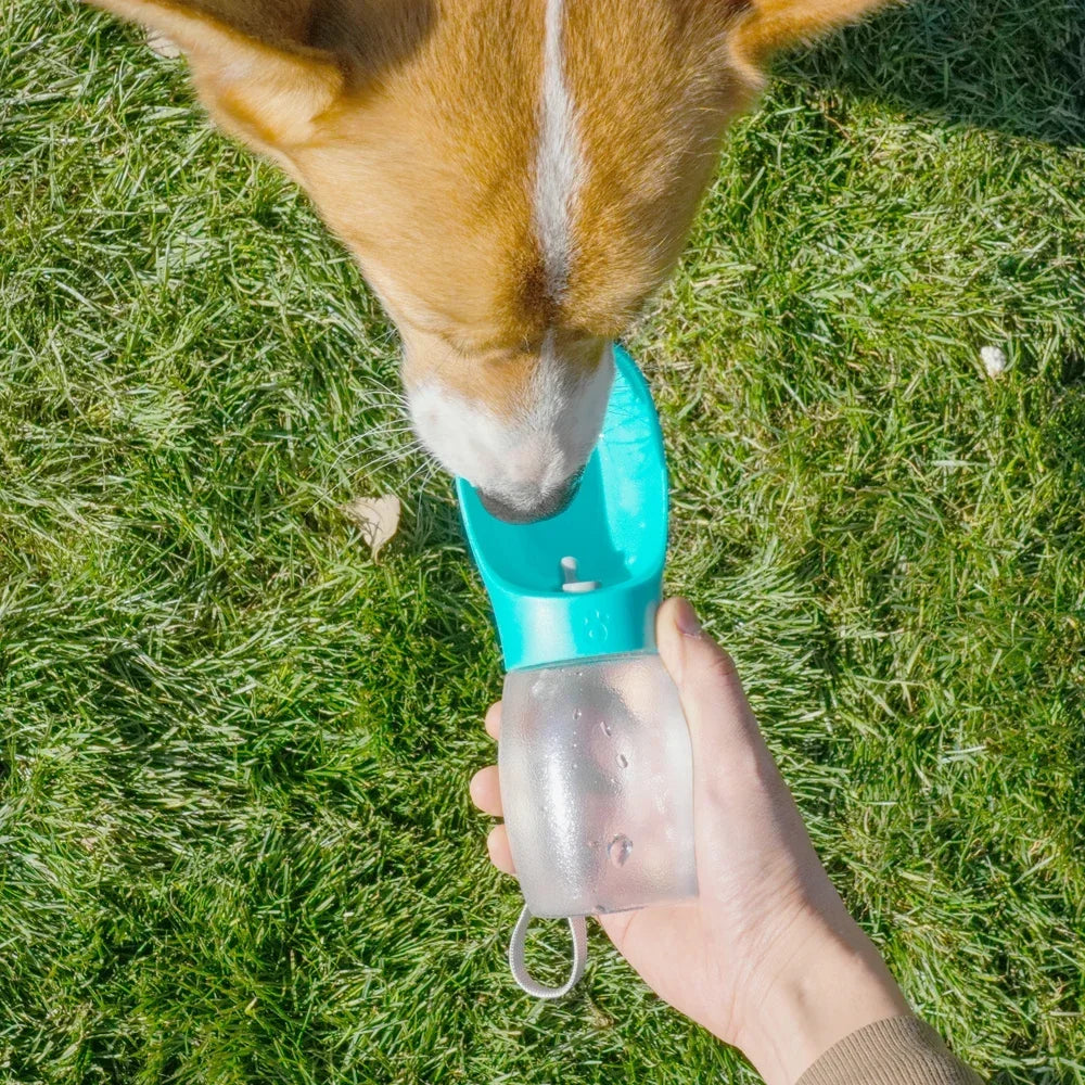 Portable Dog Water Bottle – Leakproof & Travel-Friendly