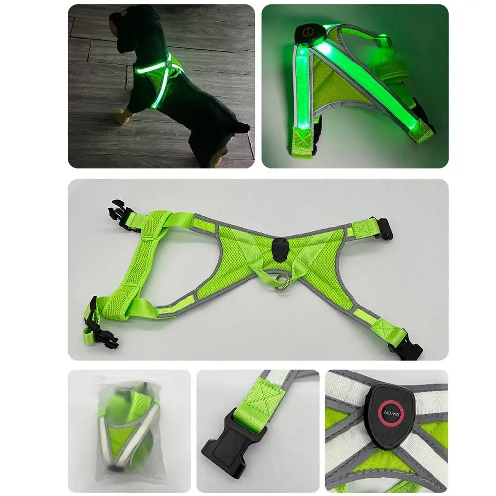 LED Light Dog Vest Harness – Adjustable & Breathable