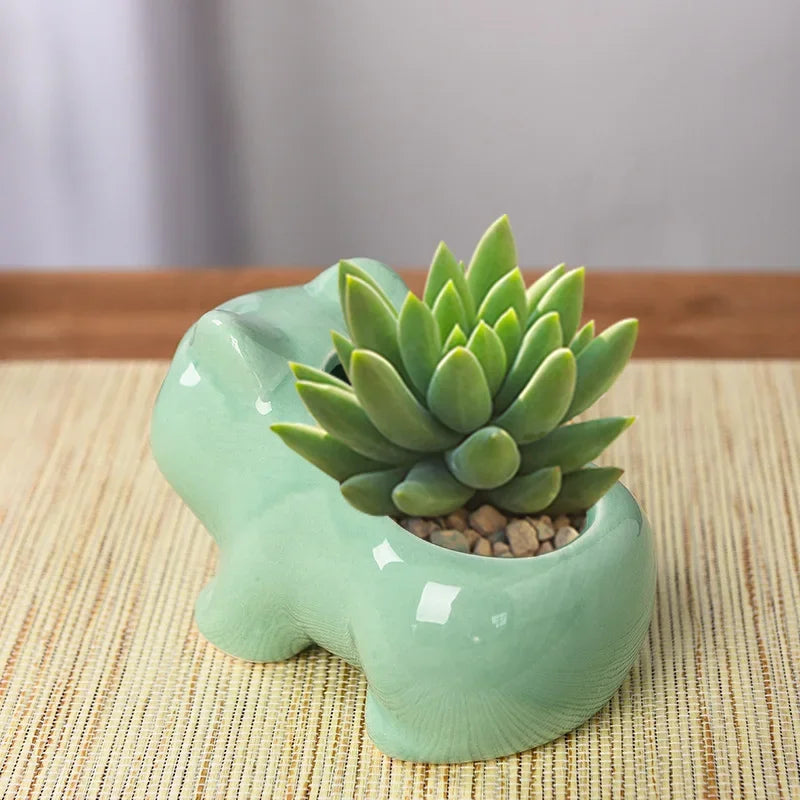 Creative Mini Flowerpot – Perfect for Indoor & Outdoor
