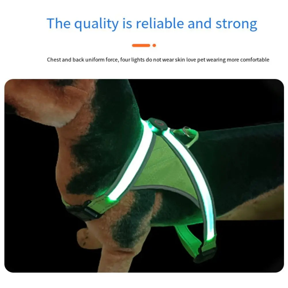 LED Light Dog Vest Harness – Adjustable & Breathable