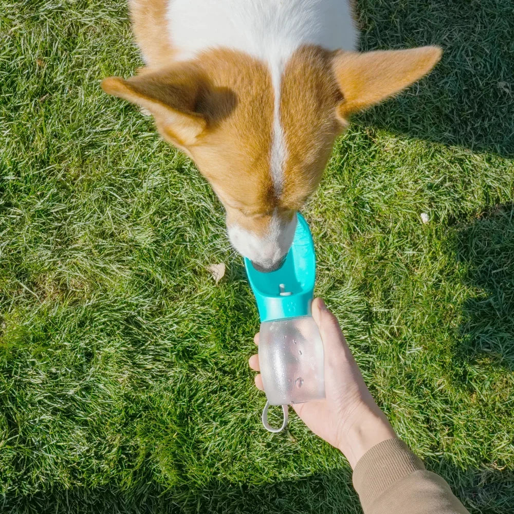 Portable Dog Water Bottle – Leakproof & Travel-Friendly