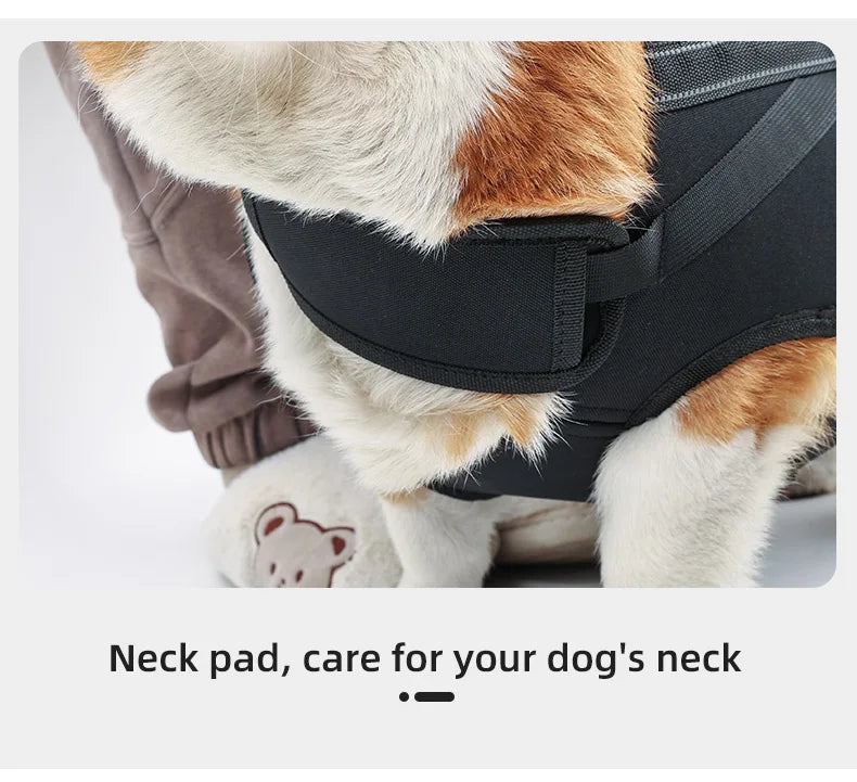 Versatile Pet Carrier Backpack – Comfortable for Medium & Large Dogs