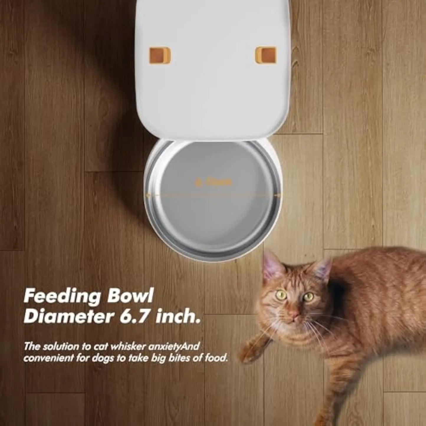 Automatic Cat & Dog Feeder – 8L with HD Camera & Tuya App