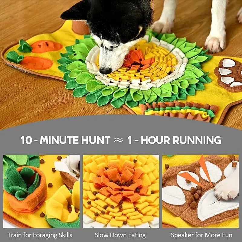 BrainBoost Snuffle Mat