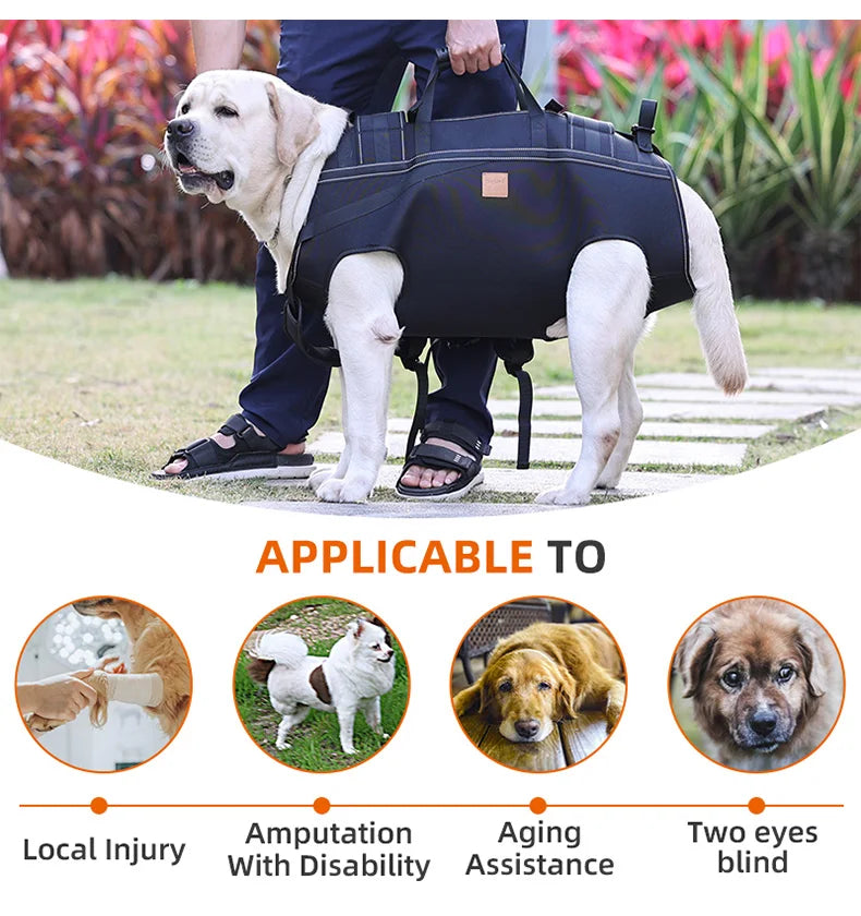 Versatile Pet Carrier Backpack – Comfortable for Medium & Large Dogs