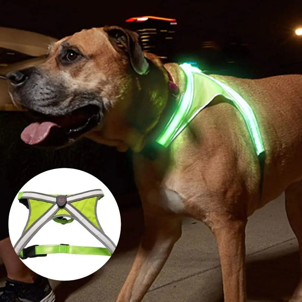 LED Light Dog Vest Harness – Adjustable & Breathable